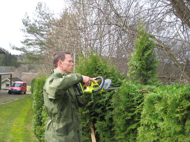 Sigbjørn stusser hekken